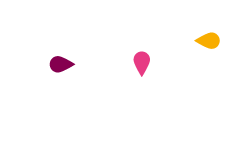 CO3 coaching Lyon